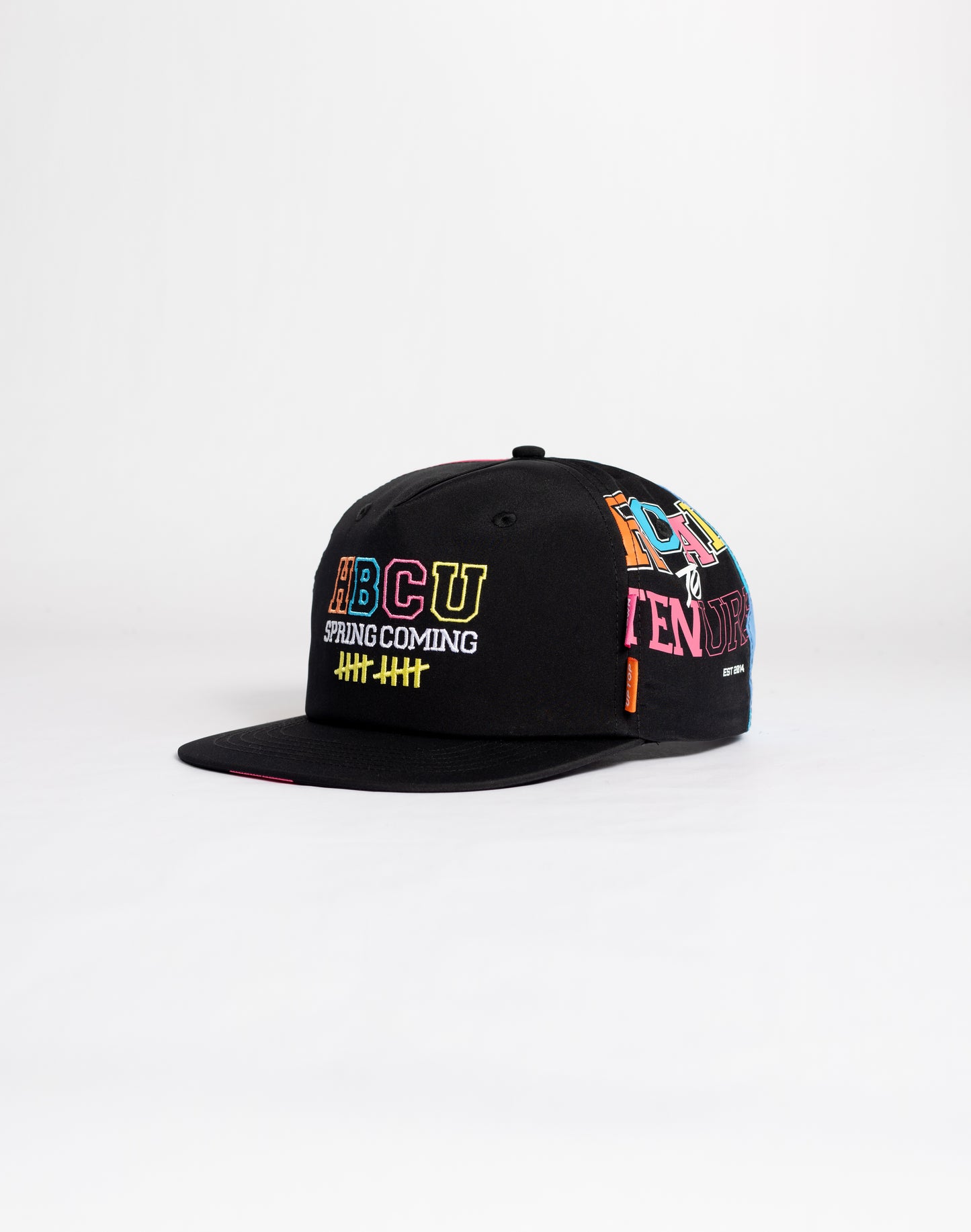 Dungeon Forward HBCUSC Road to TENure hat